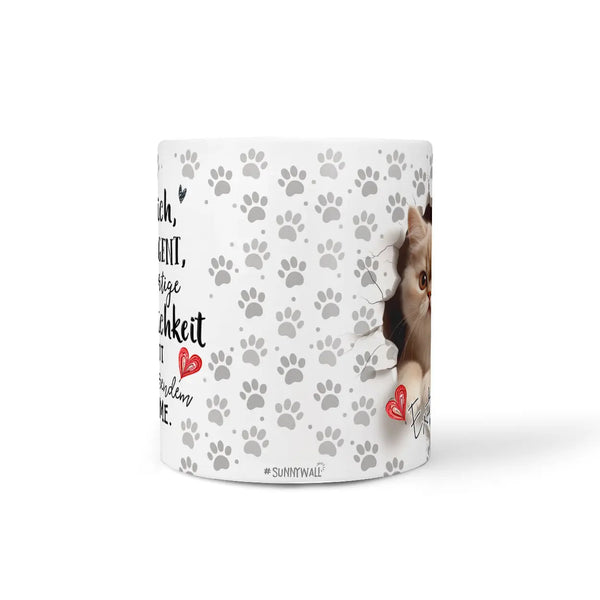 Tasse | Exotic Shorthair | schnurrender Charme | Katzenrassen Kollektion Sunnywall
