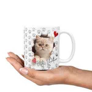 Tasse | Exotic Shorthair | schnurrender Charme | Katzenrassen Kollektion Sunnywall