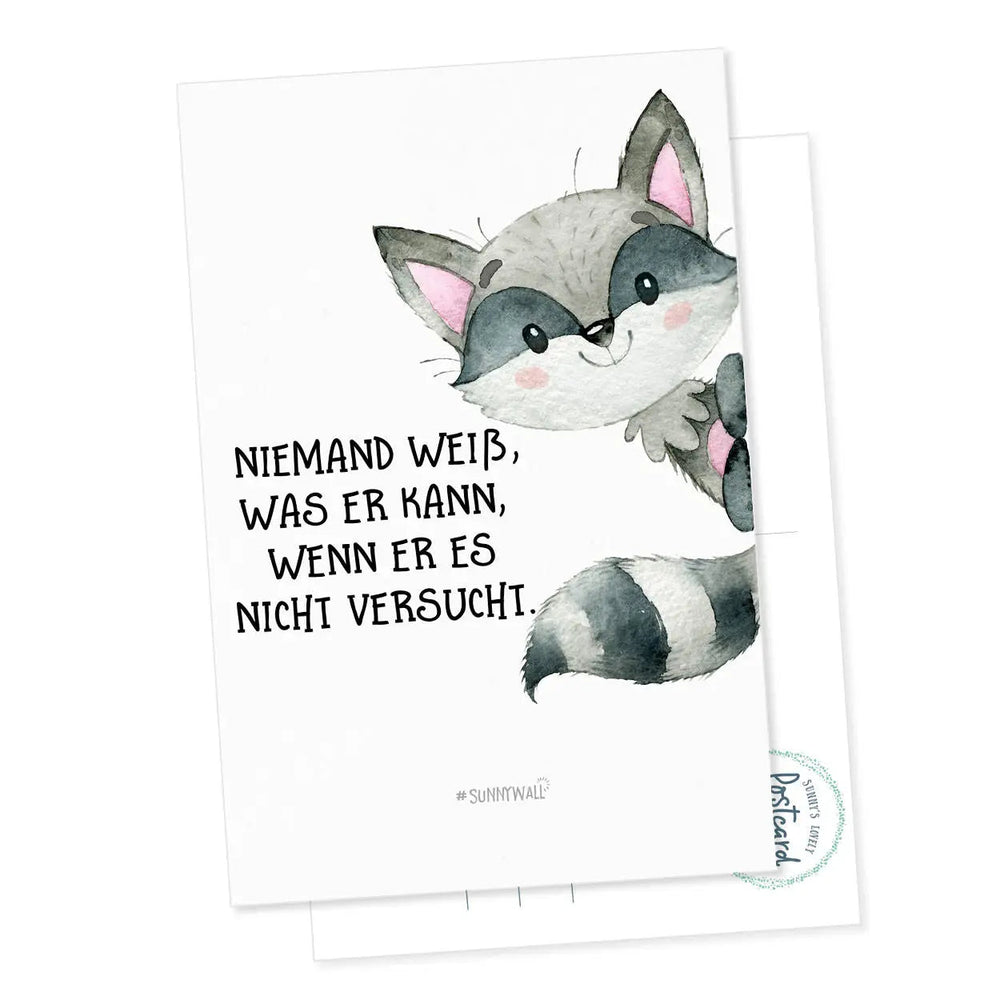 Postkarte Motivation Spruch Waschbär Versuch es DIN A6 - Sunnywall - Individualität trifft Design
