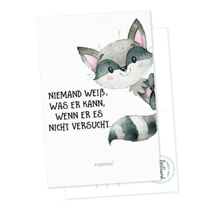 Postkarte Motivation Spruch Waschbär Versuch es DIN A6 - Sunnywall - Individualität trifft Design
