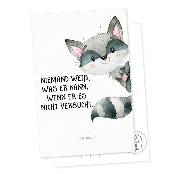 Postkarte Motivation Spruch Waschbär Versuch es DIN A6 - Sunnywall - Individualität trifft Design