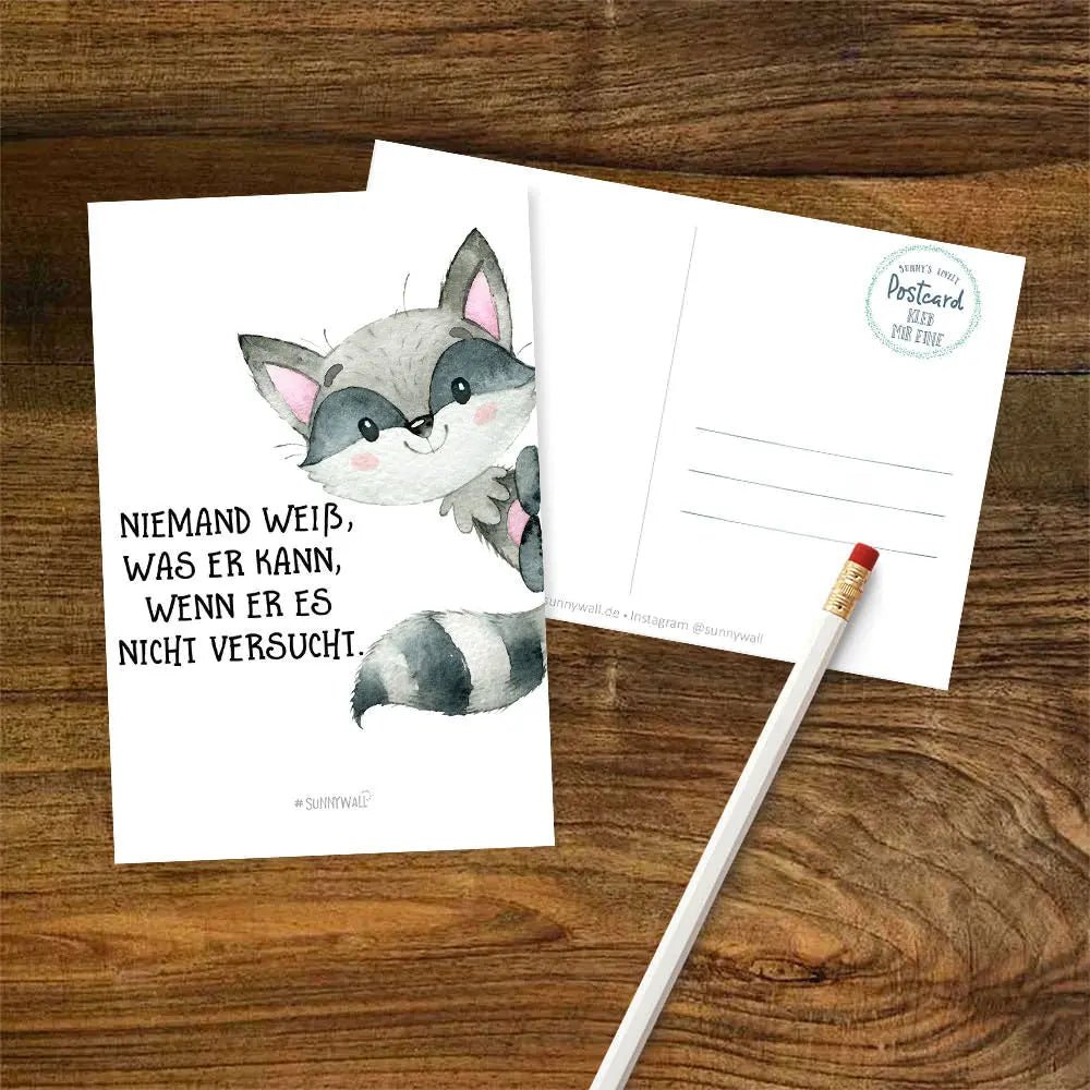 Postkarte Motivation Spruch Waschbär Versuch es DIN A6 - Sunnywall - Individualität trifft Design