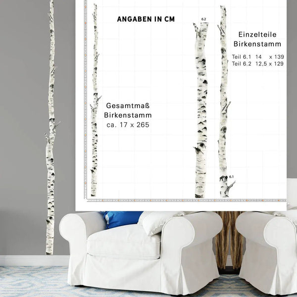 Wandtattoo Birkenstamm Zauberhafter Birkenhain für natürliche Wandgestaltung - Sunnywall - Individualität trifft Design